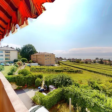 One-bedroom With View *