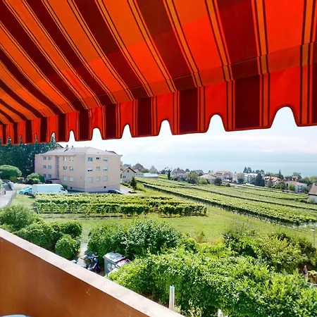 One-bedroom With View