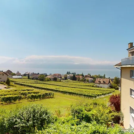 Apartment One-bedroom With View Pully